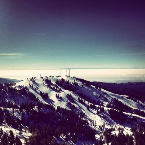 1012238_438716206232109_552774625_n