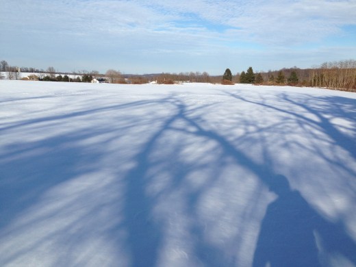 Pennsylvania snowy field 1