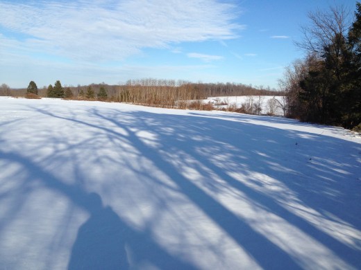 snow pennsylvania field 2