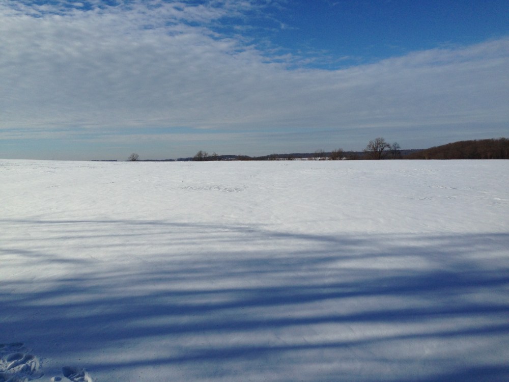 Pennsylvania snowy field 3