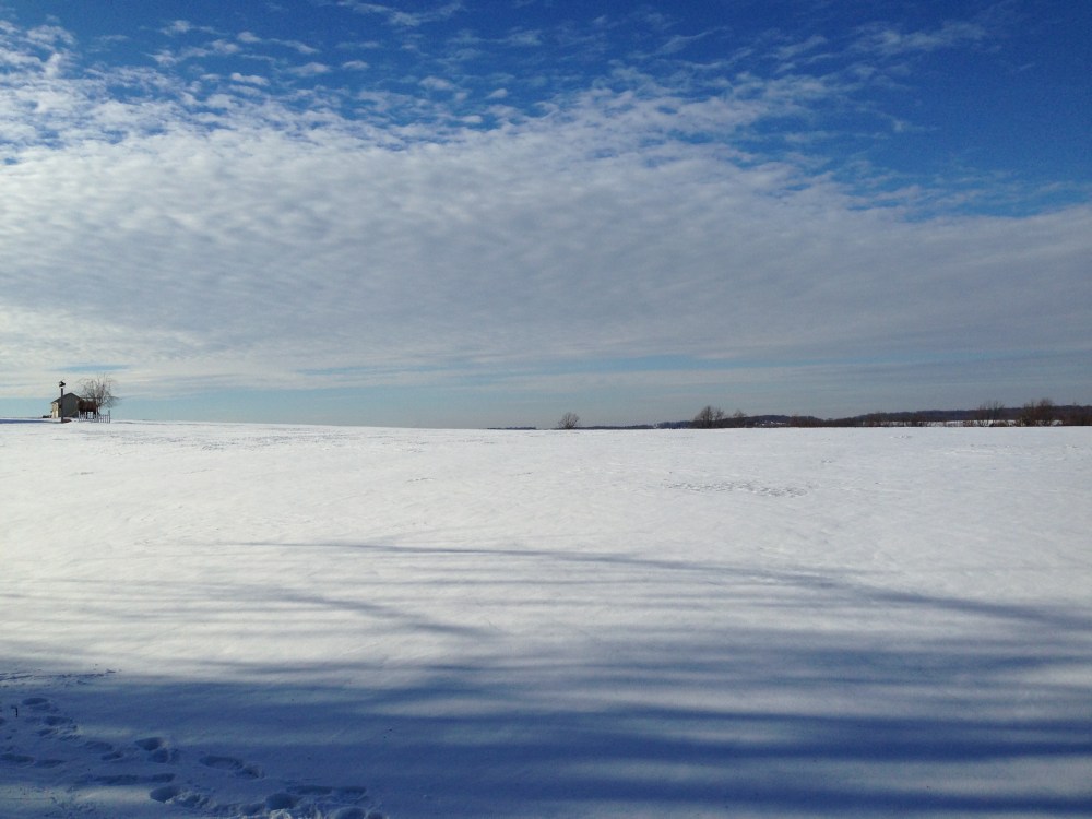 Pennsylvania snowy field 4