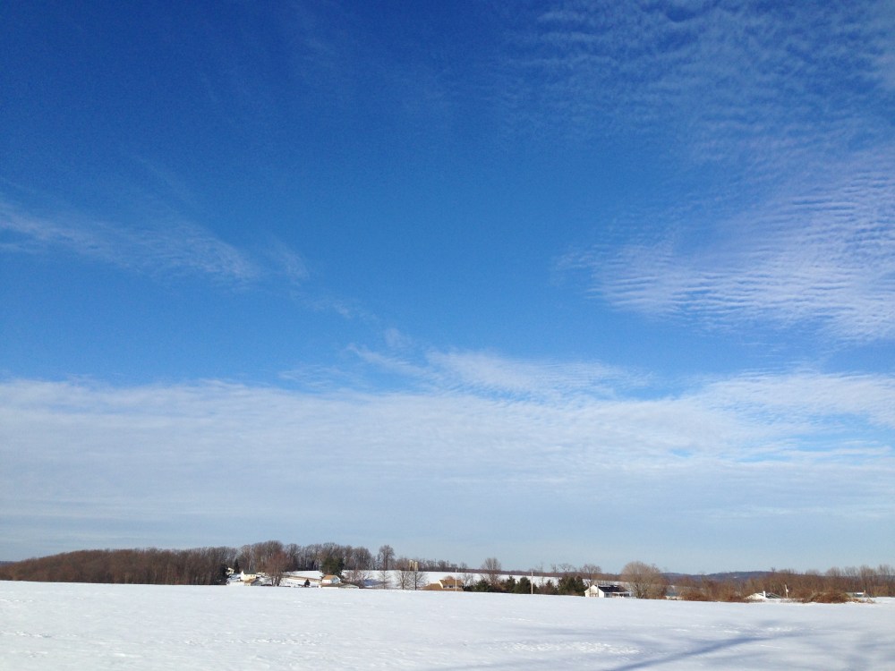 Pennsylvania snowy field 5