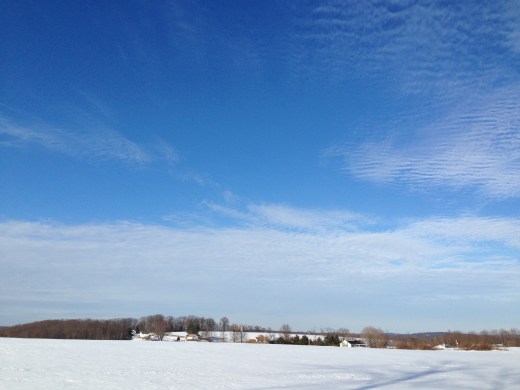 Pennsylvania snowy field 5