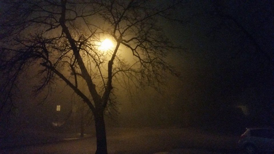 10373850_10107977153098134_5144790426090504205_n