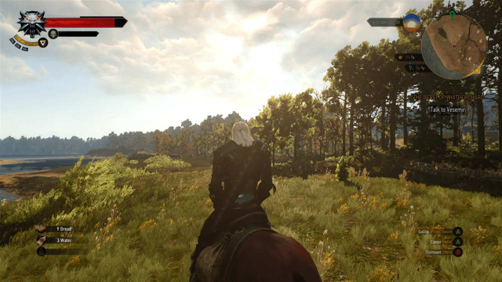 The witcher 3 scenery
