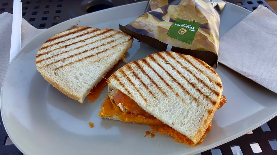 chipotle chicken panini